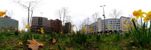 Narcissen op Strijp-S JUST360